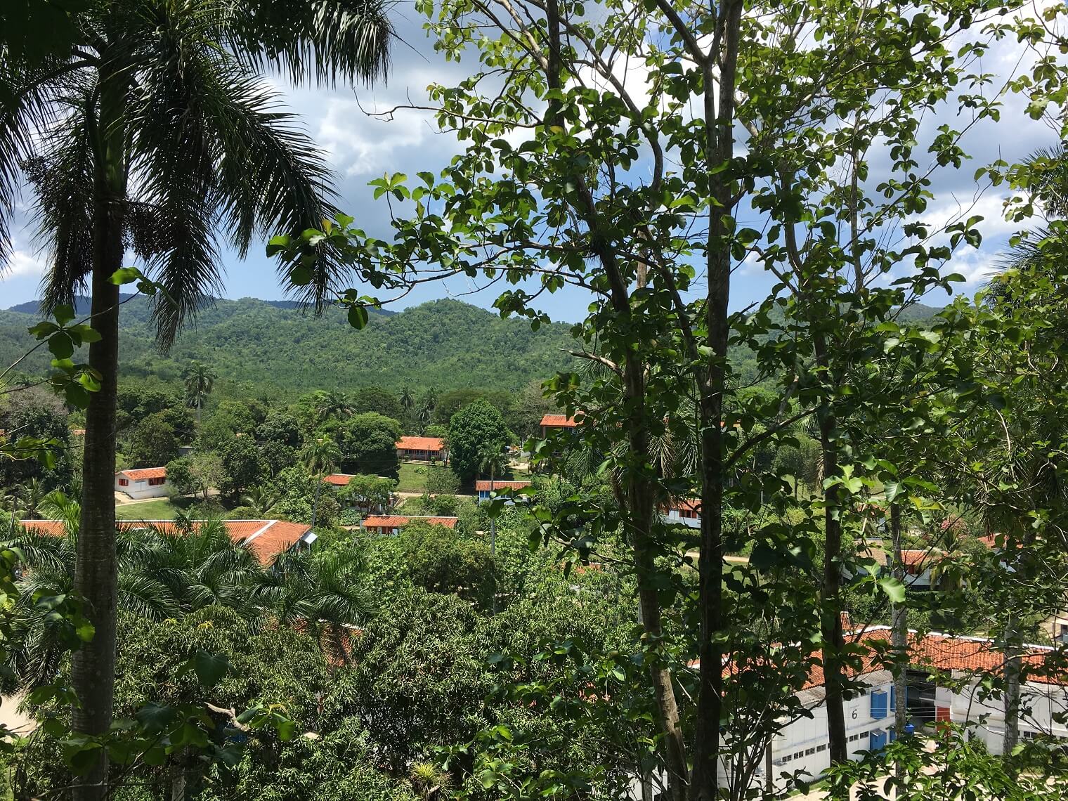 Beautiful forest view of Las Terrazas from the Hotel Moka balcony