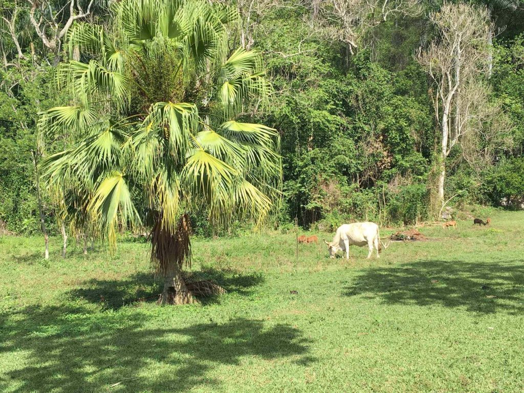Countryside. Things to do in Viñales.