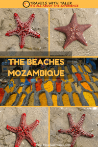 This image has an empty alt attribute; its file name is MOZAMBIQUE-beaches-1-2-200x300.png