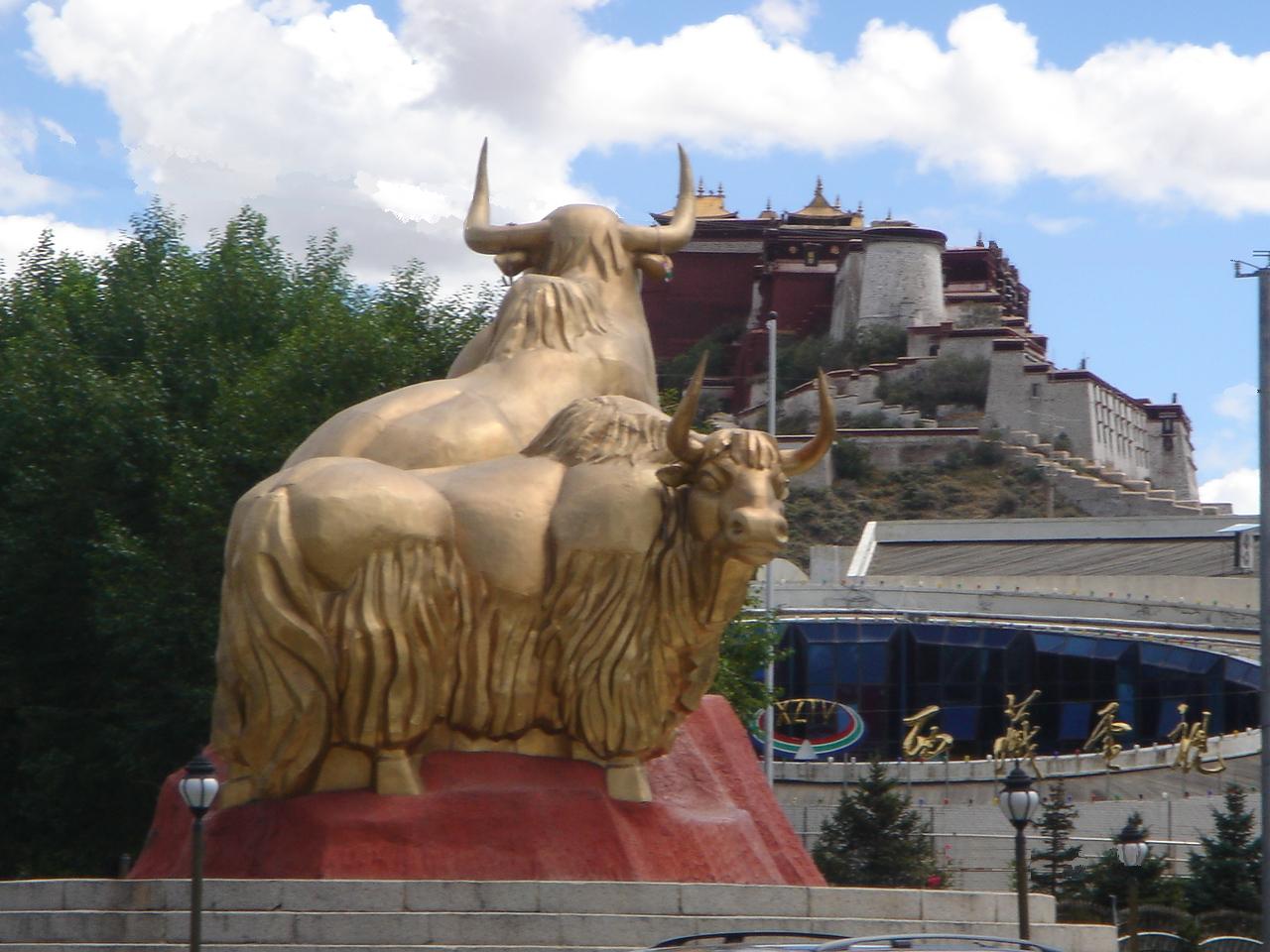Things to do in Tibet.Statue of two golden yaks with Potala Palace in Lhasa, Tibet
