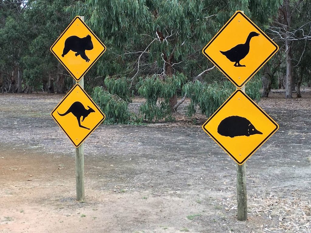 Animal Crossing Signs at Australian wildlife sanctuaries