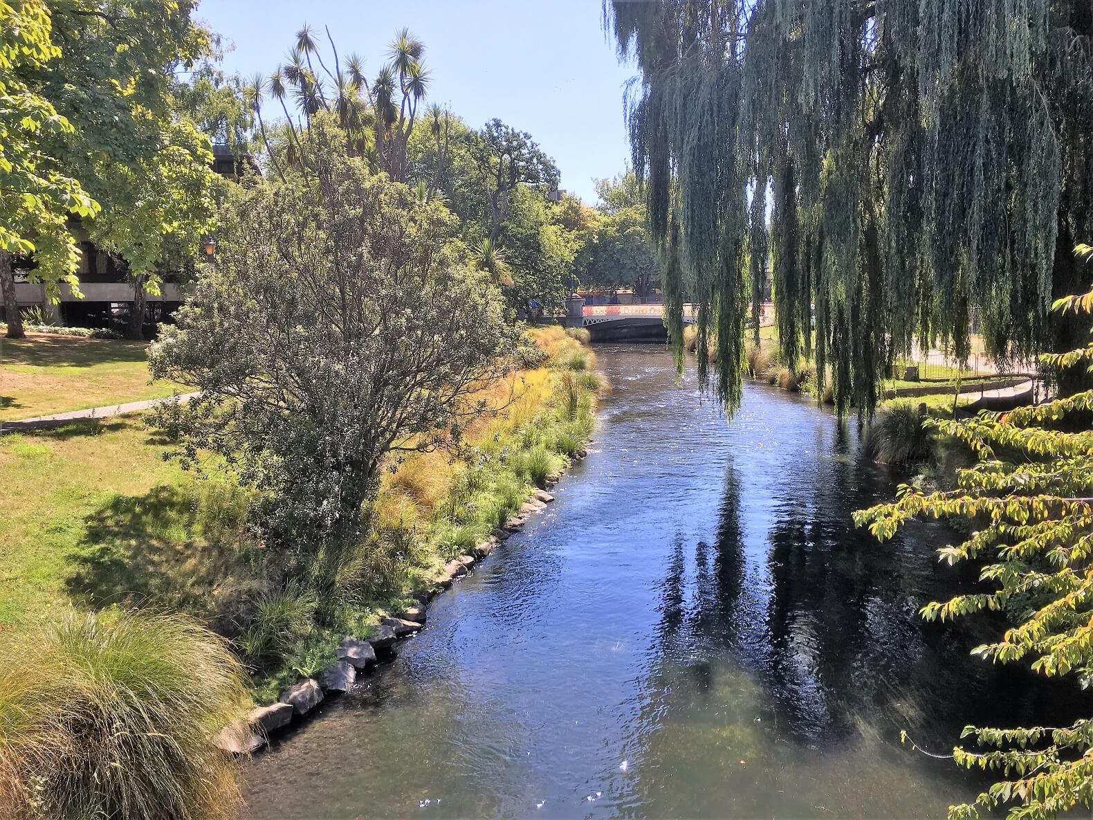 Avon River in Christchurch