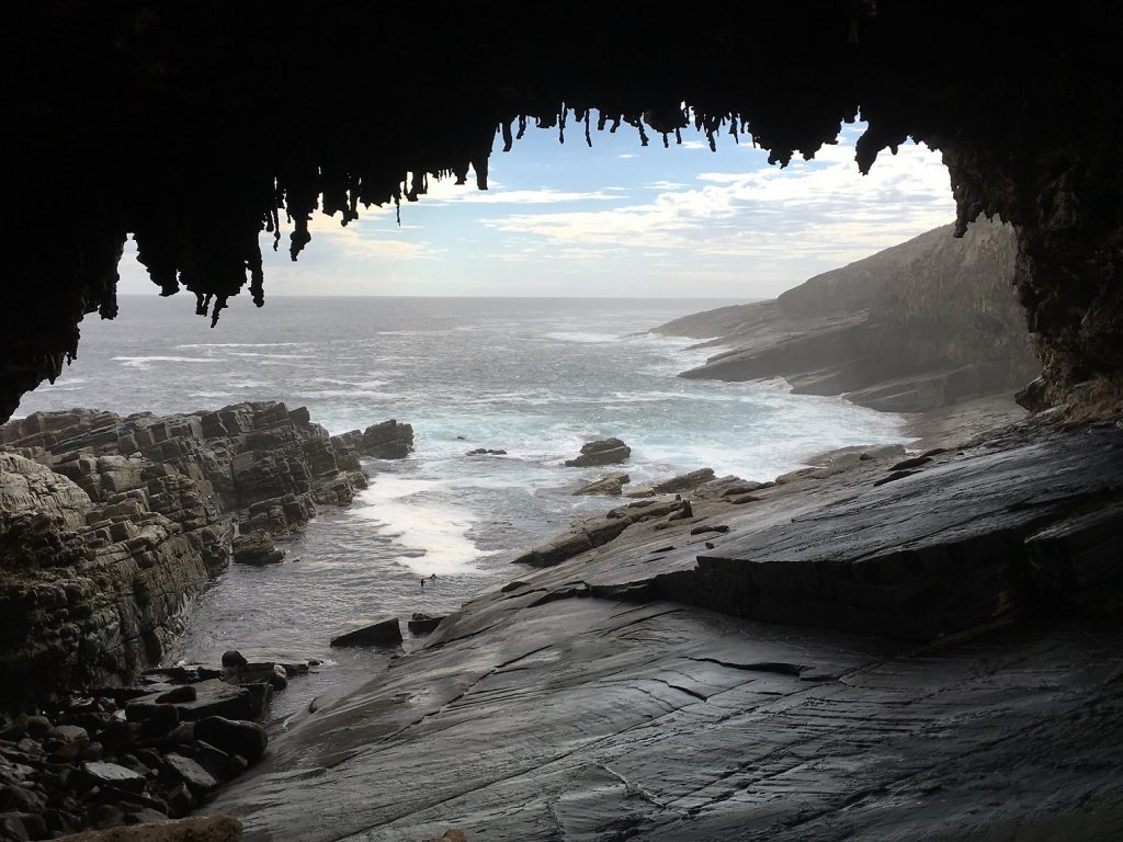 Admiral's Arch on day trips to Kangaroo Island to see Admiral's Arch on Kangaroo Island