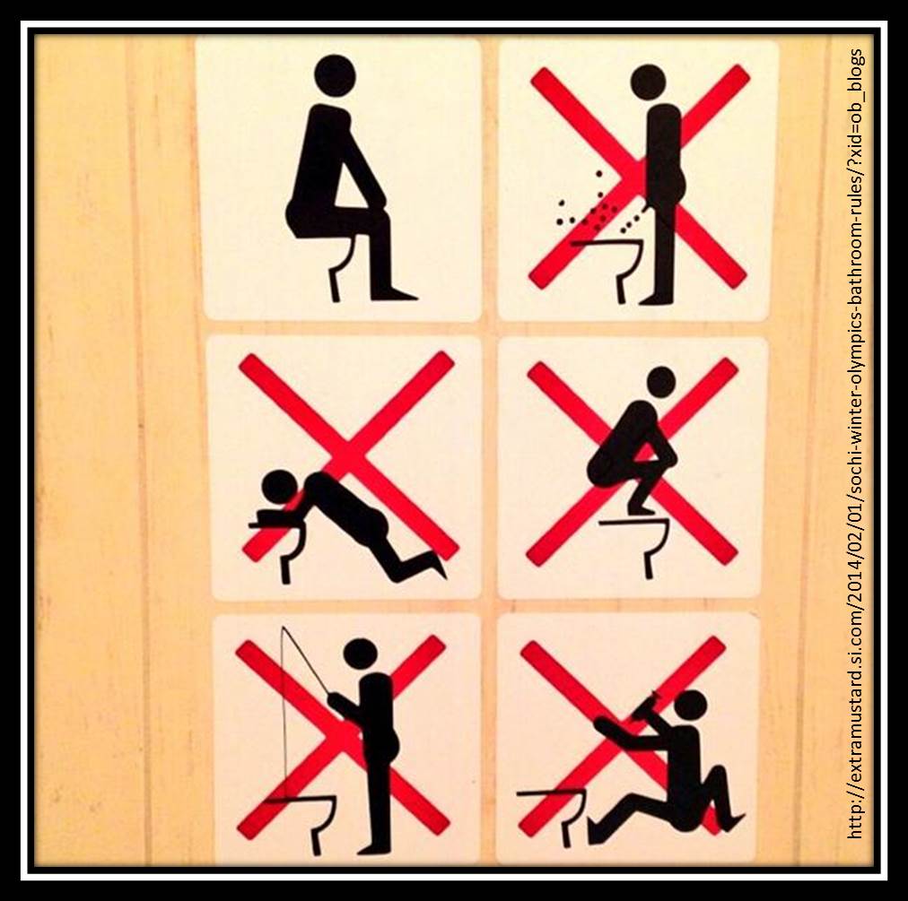Instructions for Japanese toilets