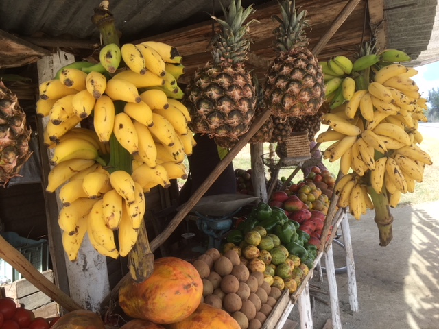 tropical fruit