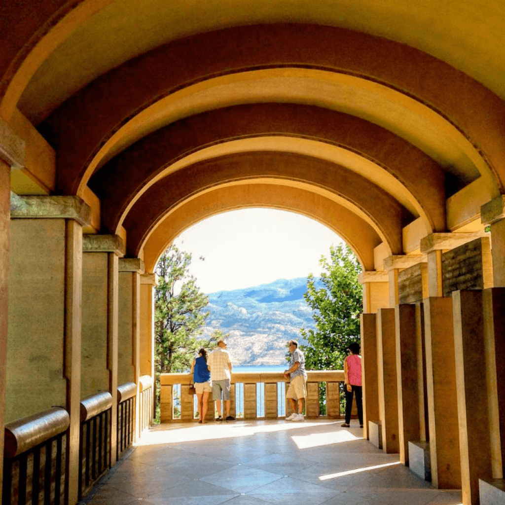 An arched walkway leading to a vineyard