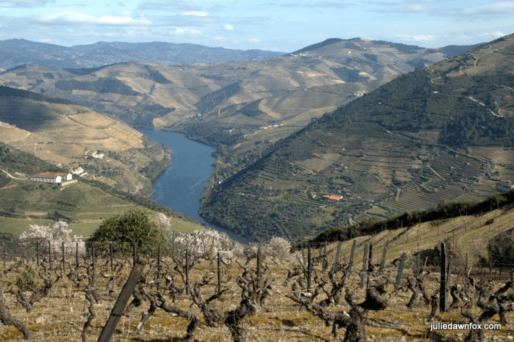 Douro River Valley, one of the best European wine regions 