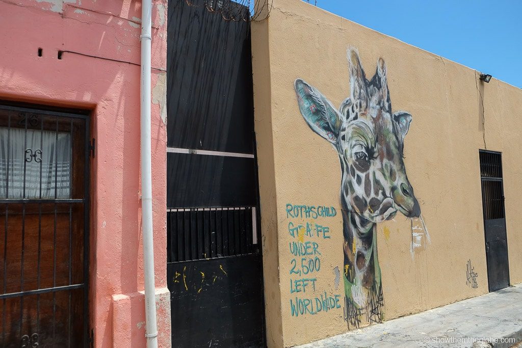 Woodstock, Cape Town Amazing Street Art