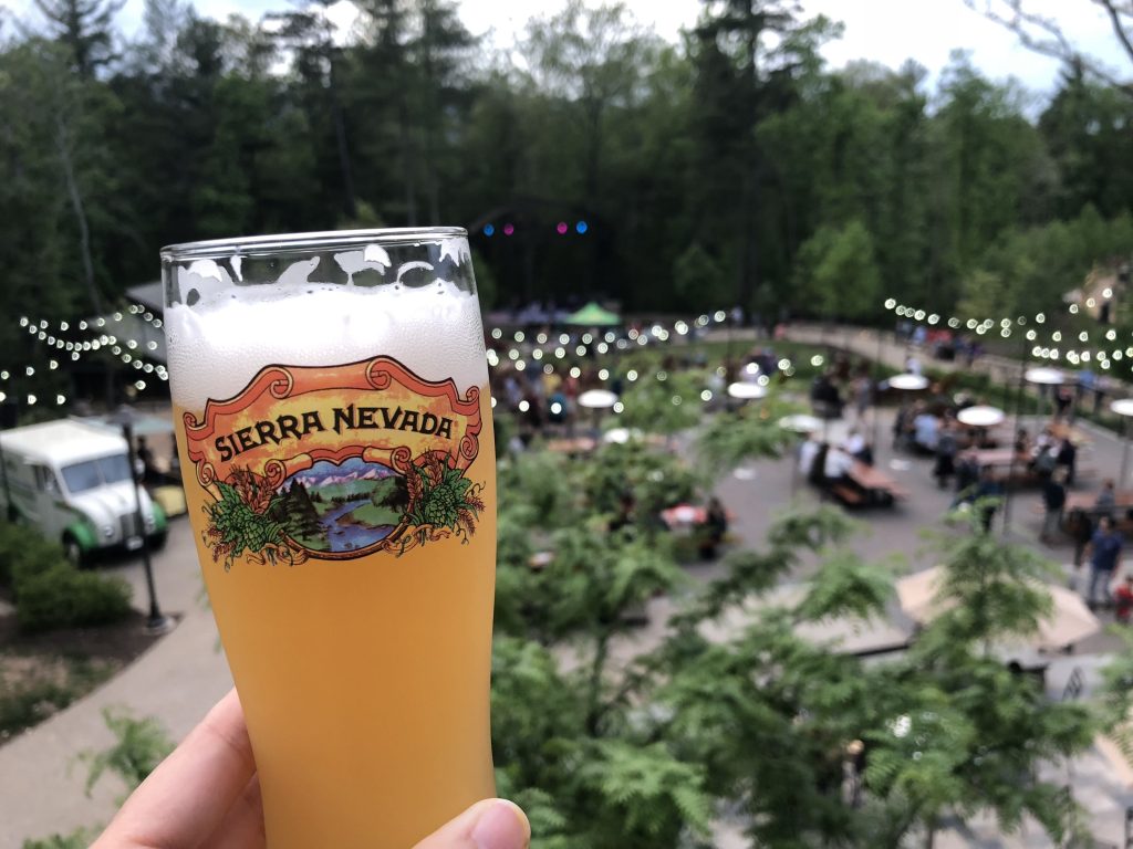 glass of beer in the foreground of a garden