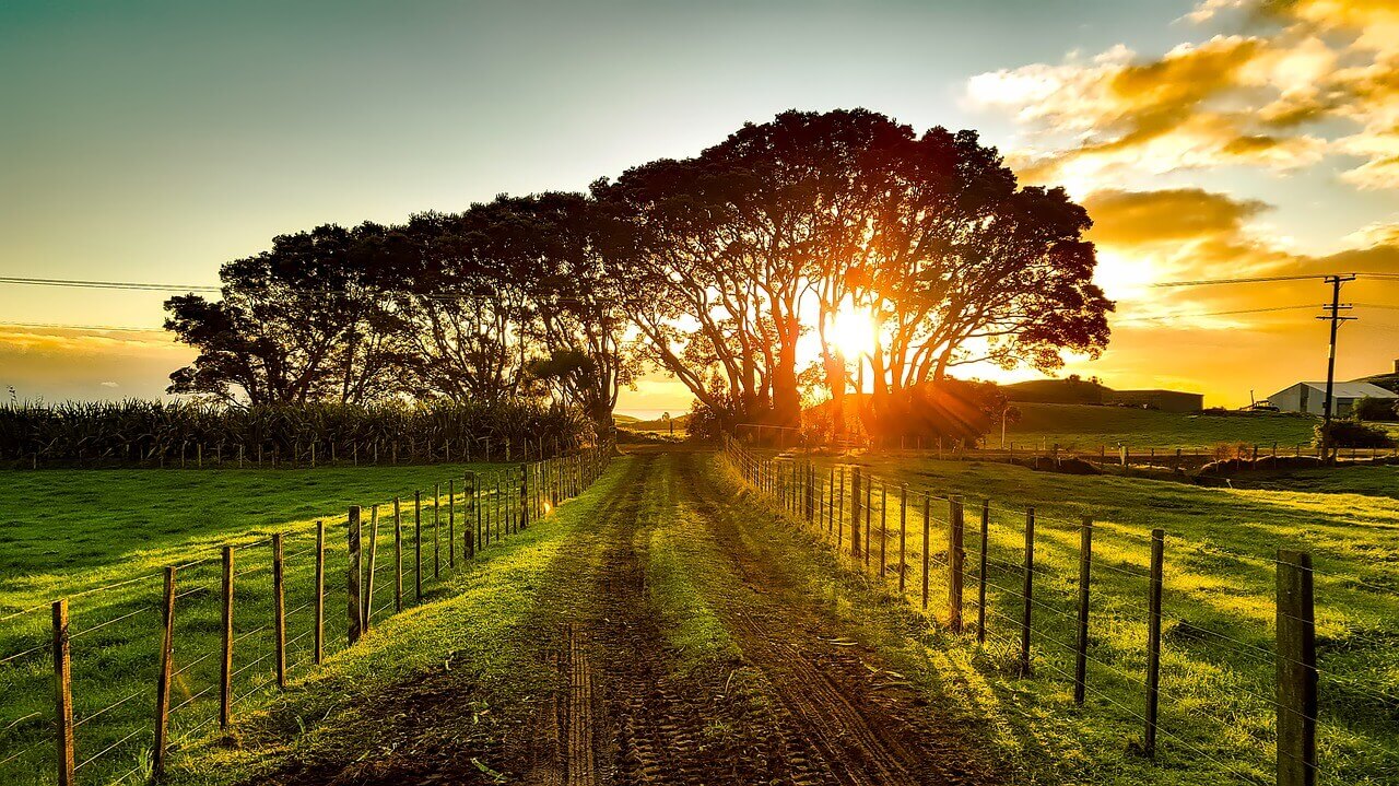 New Zealand wine region