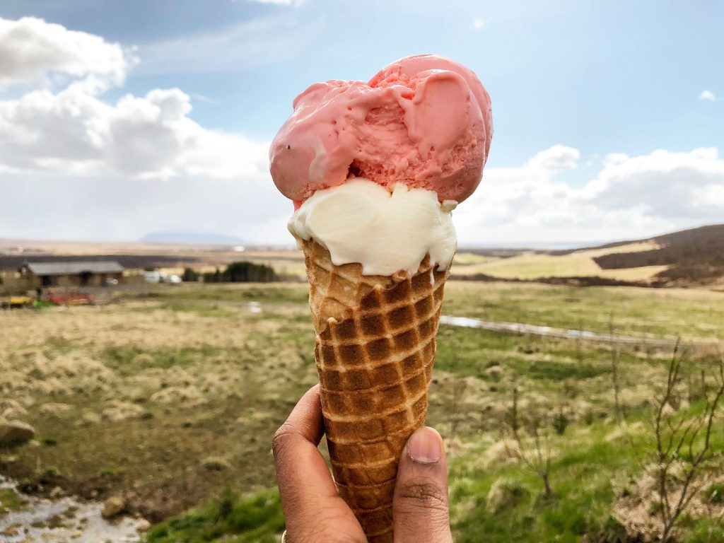 Local Ice Cream Parlours - Iceland