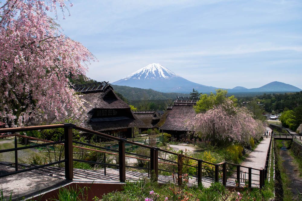 Japan types. Токио Фудзияма. Япония Токио горы. Гора Фудзи вид из Токио. Японская деревня Фудзияма.