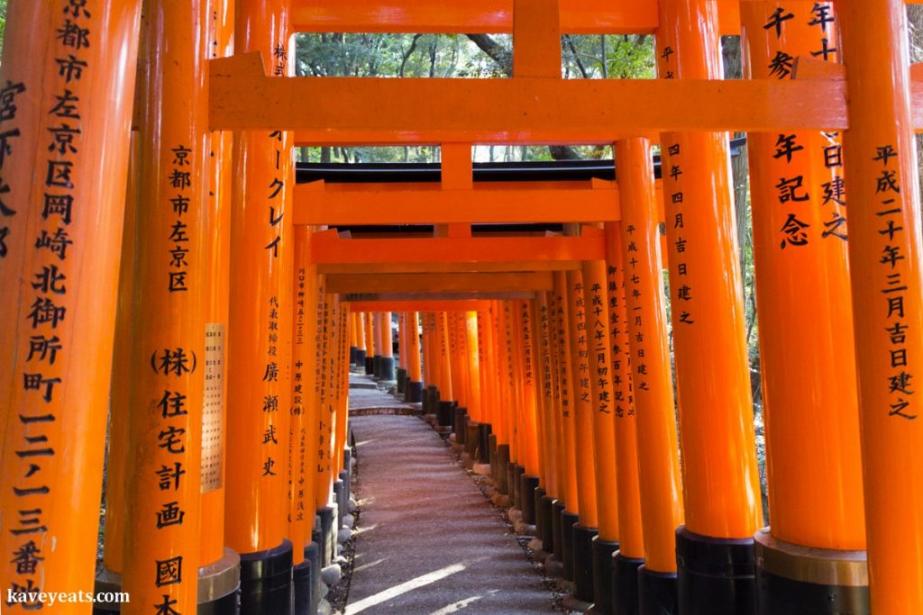 Things to See in Japan - Torii