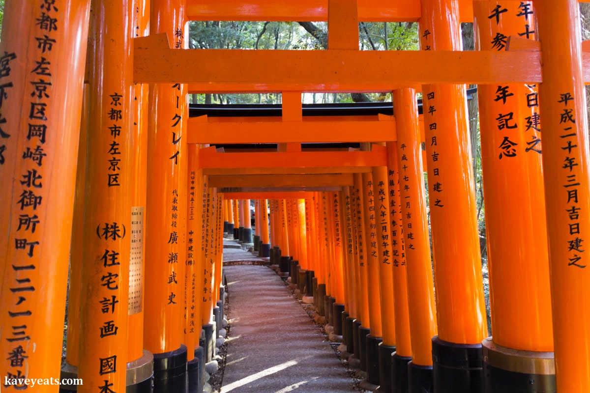 27 COOL THINGS IN JAPAN YOU MUST SEE Travels With Talek