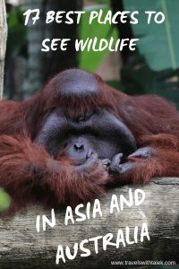 wildlife tourism in asia