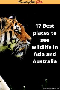 wildlife tourism in asia