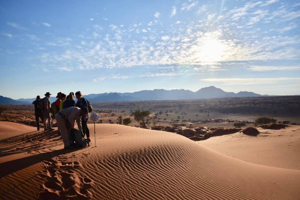 Group tours to Namibia are great