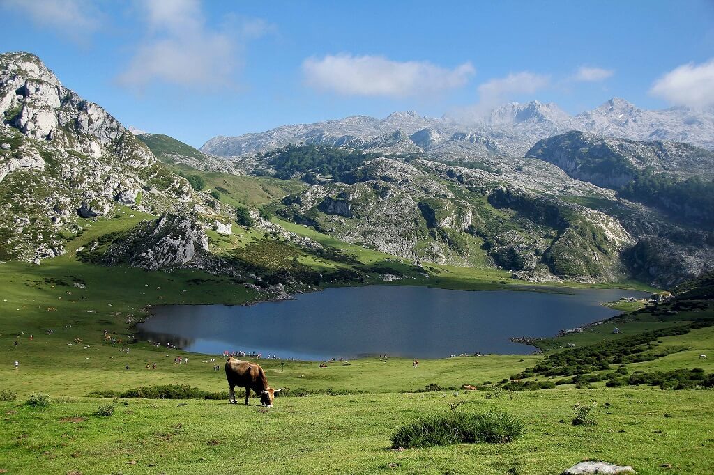 A mountain lake in Asturias, northern Spain