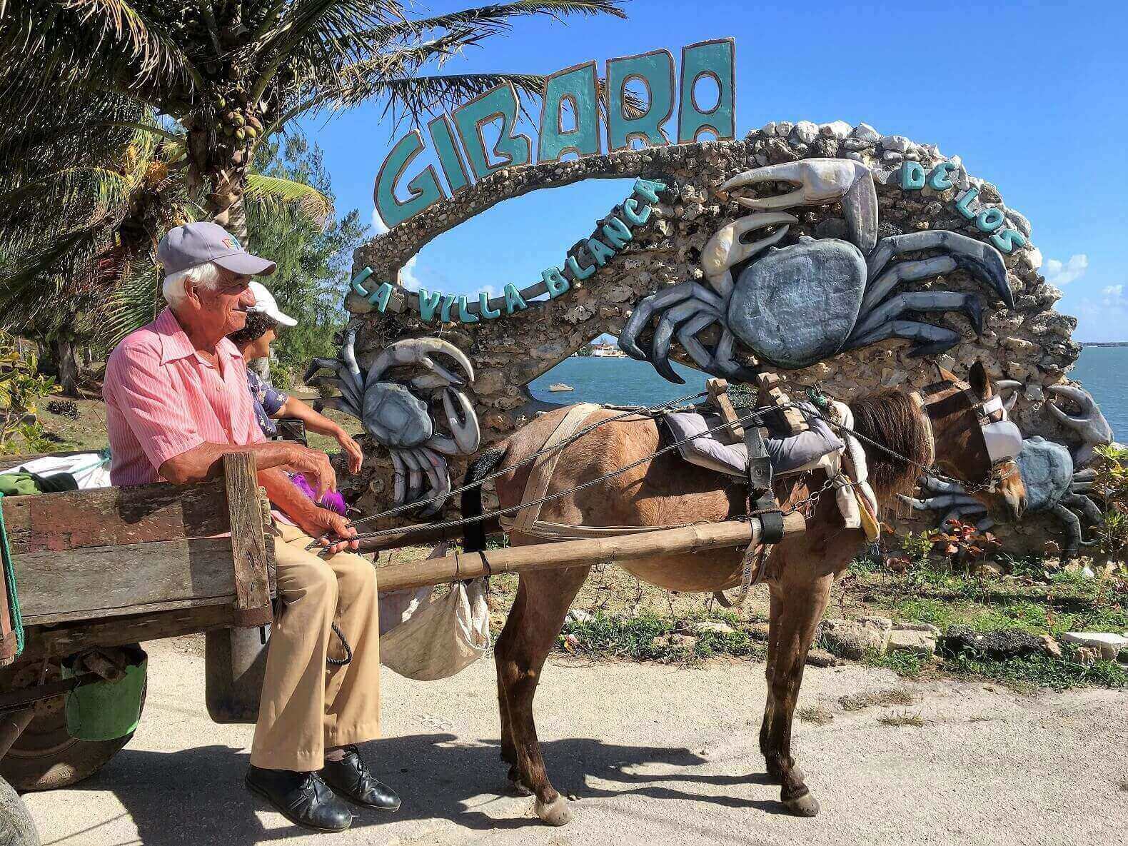 Horse and cart, Cuban transportation