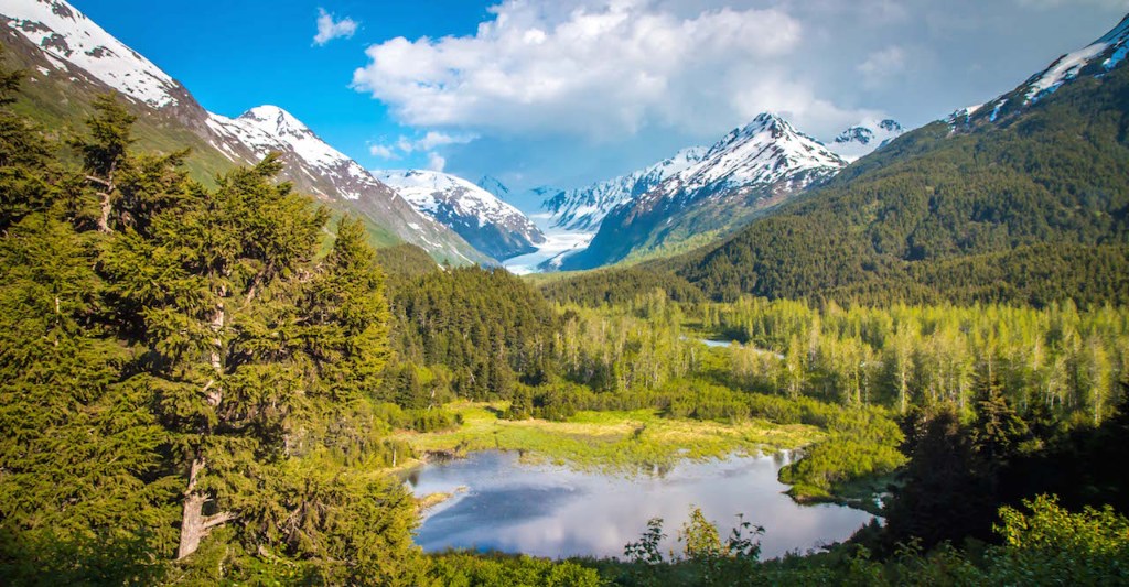 Denali National Park