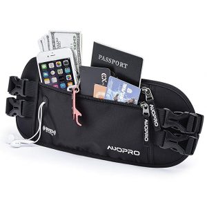 Travel Belt