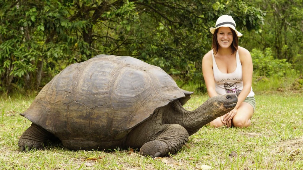 Travel Inspired by Books - Galapagos turtle in South America