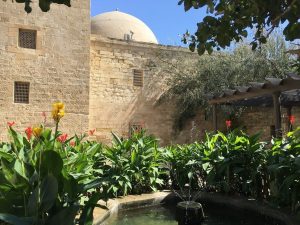 In a Muslim garden