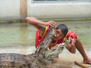 safety travel dos and don'ts, a man putting his head into an aligator's mouth