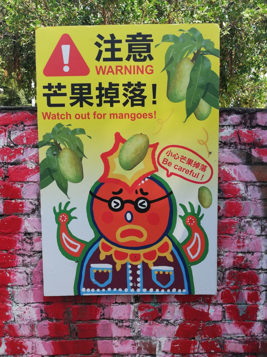 Funny falling Mangos sign from Taichung, Taiwan about hazardous mangoes