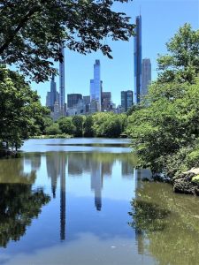 Skyscrapers reflecting on the lake