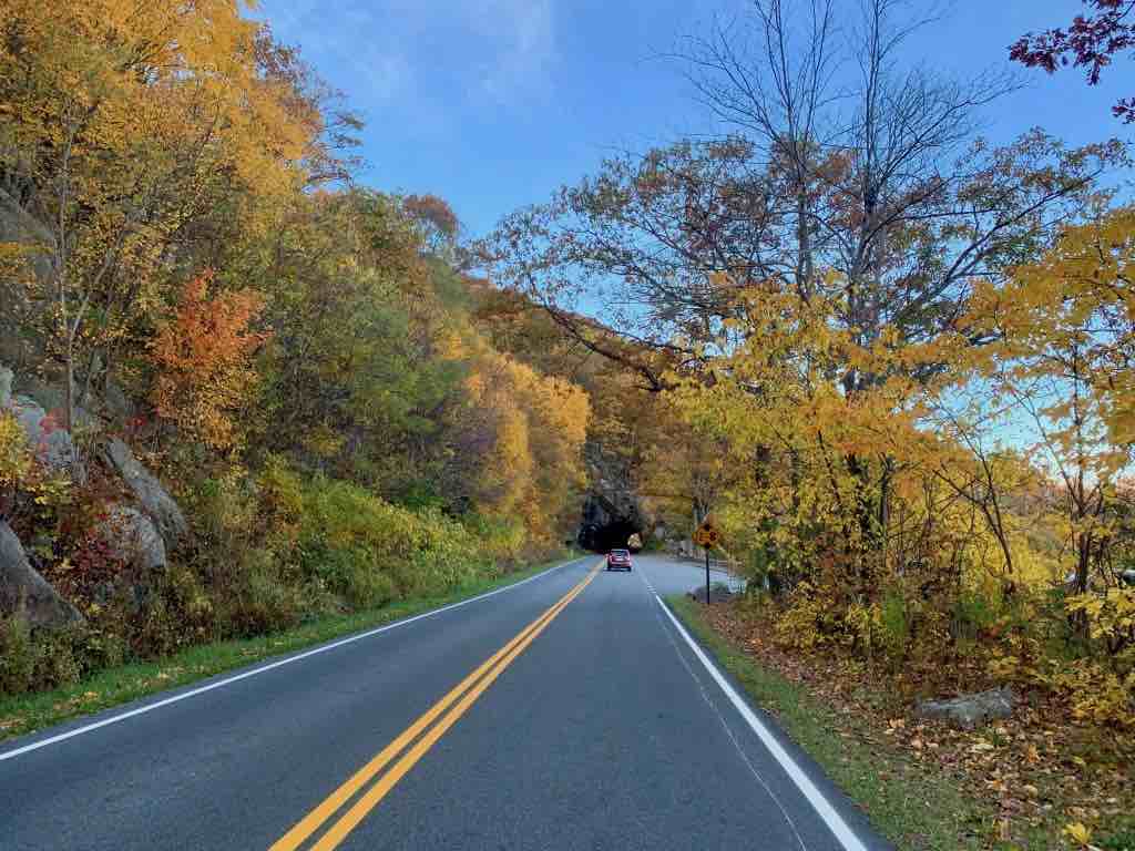 Fall colors in Shenandoah