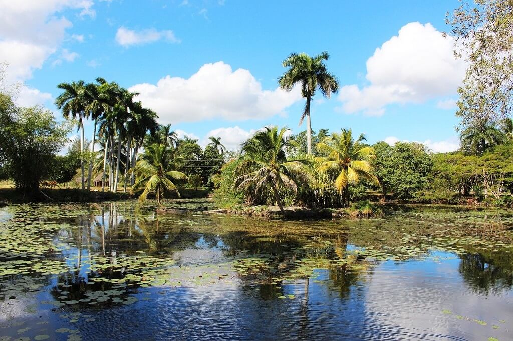 Cienega Zapata Nature reserve is one of Cuba's national parks