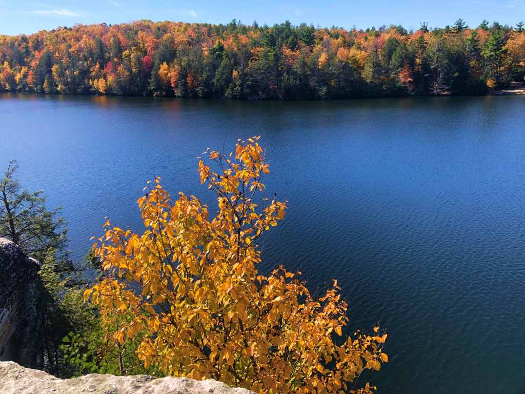 Shades of Fall foliage in the Hudson Valley