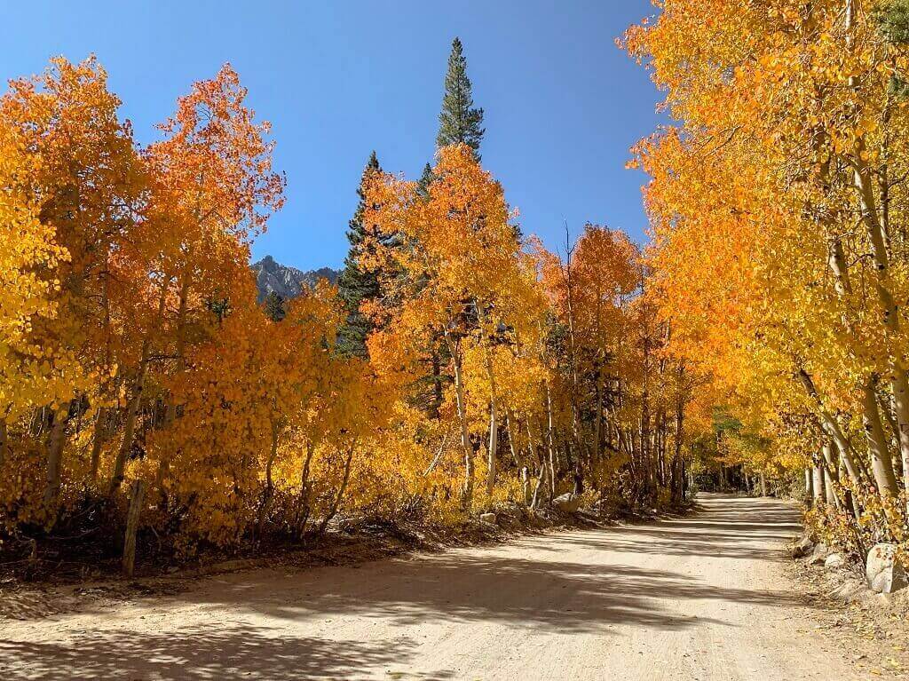 Shades of fall colors in California