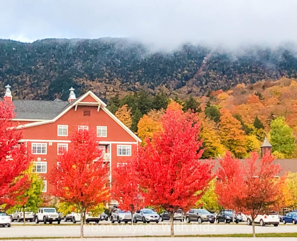 Autumn colors in Vermont