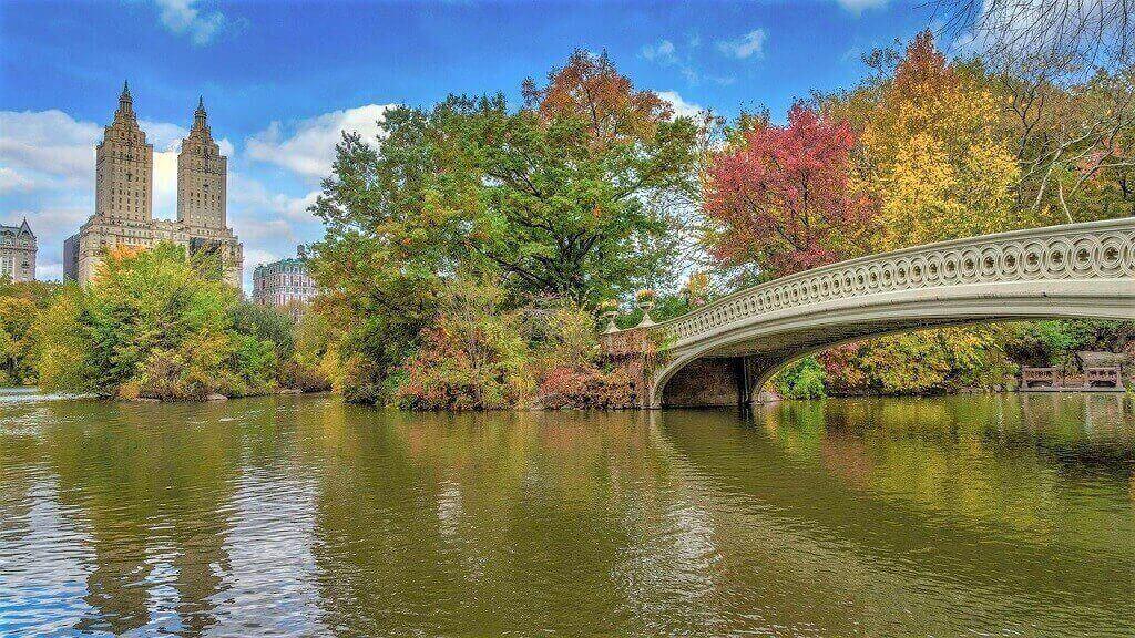 Bow Bridge in autumn in Central Park