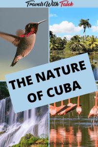 Nature scenes of Cuba