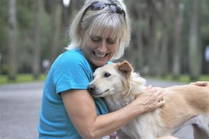 Volunteer abroad with dog