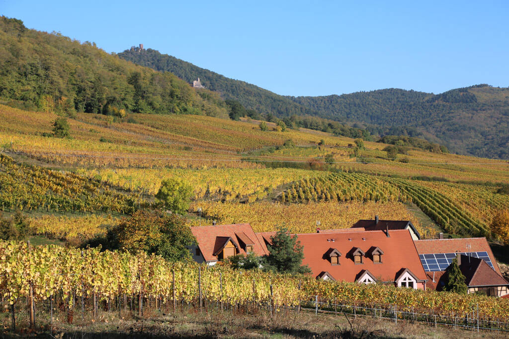 Alsace countryside