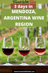 Mendoza argentina wine regions