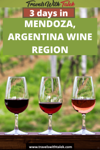 THREE DAYS IN THE MENDOZA WINE REGION (ARGENTINA)- WITH MAP! - Travels with  Talek