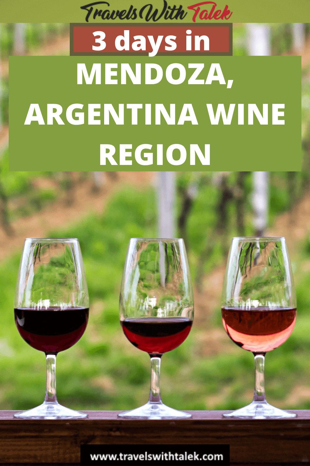 THREE DAYS IN THE MENDOZA WINE REGION ARGENTINA WITH MAP Travels   MENDOZA ARGENTINA WINE REGION 112 