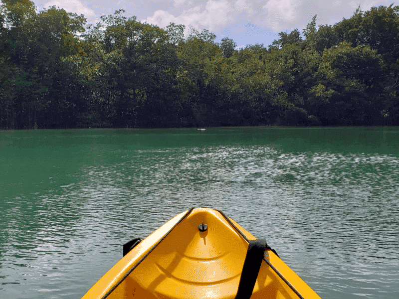 Kayaking is one the best things to do in Miami.   