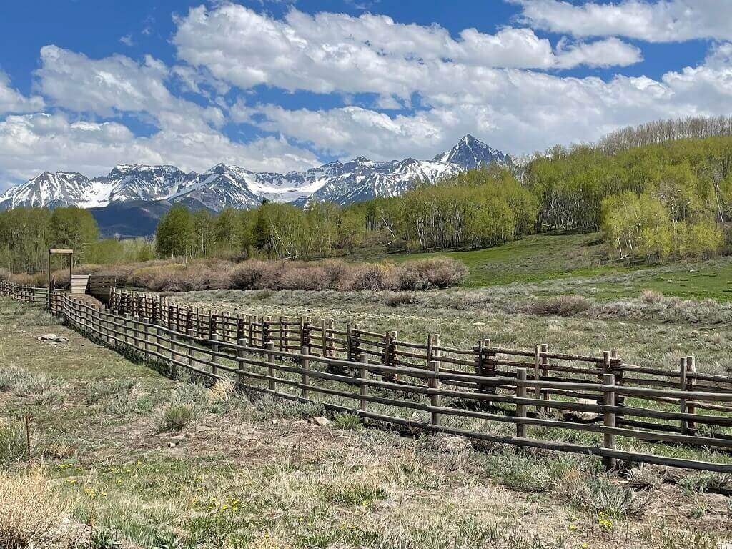 Bucolic meadow with fence