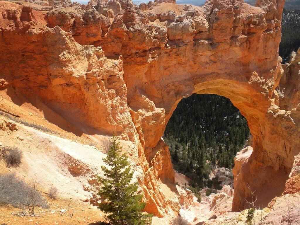 Natural bridge seen on a Utah to Arizona road trip