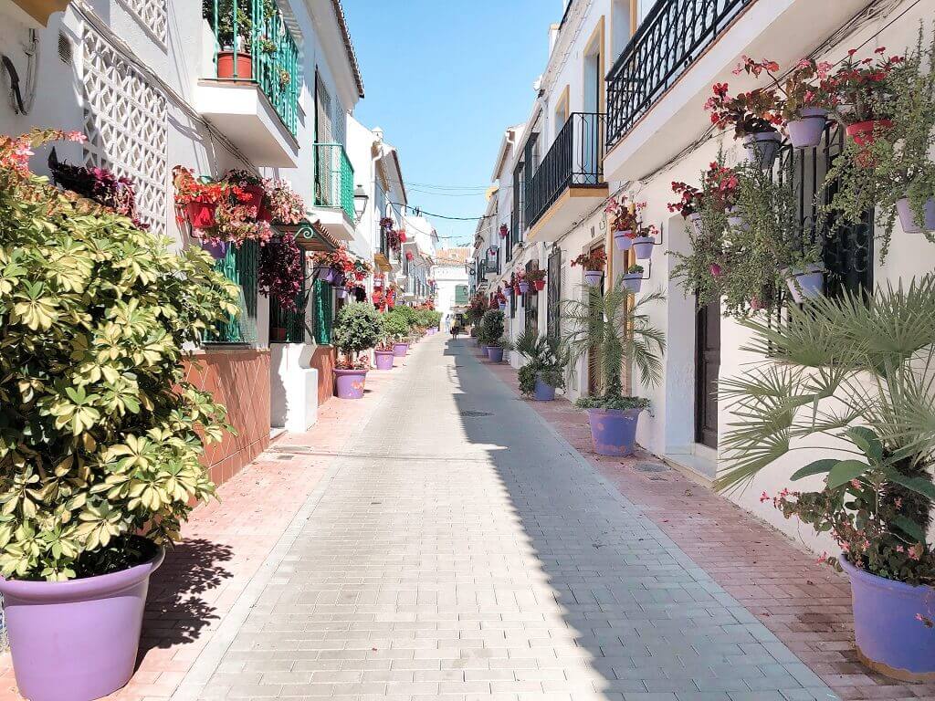Street with decorative flower pots.
