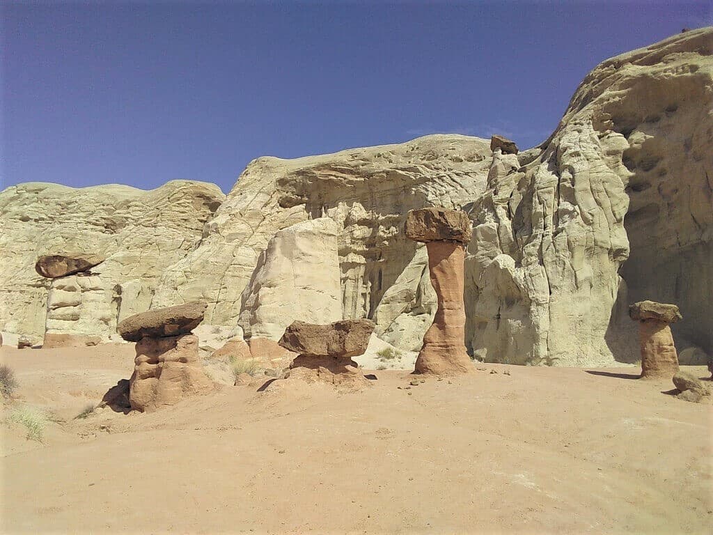 Toadstools in Hoodoo Garden