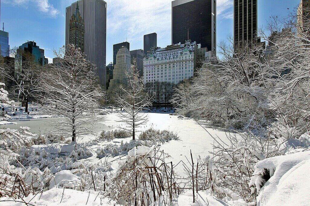 Winter in Central Park with the Plaza Hotel in the distance