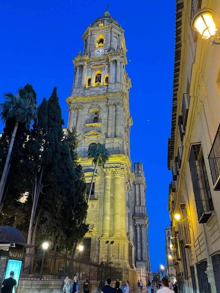 Malaga cathedral at night