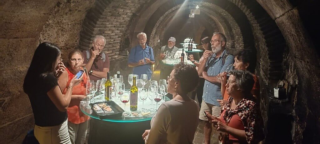 Wine tasting in Laguardia, a unique experience on a northern Spain road trip.